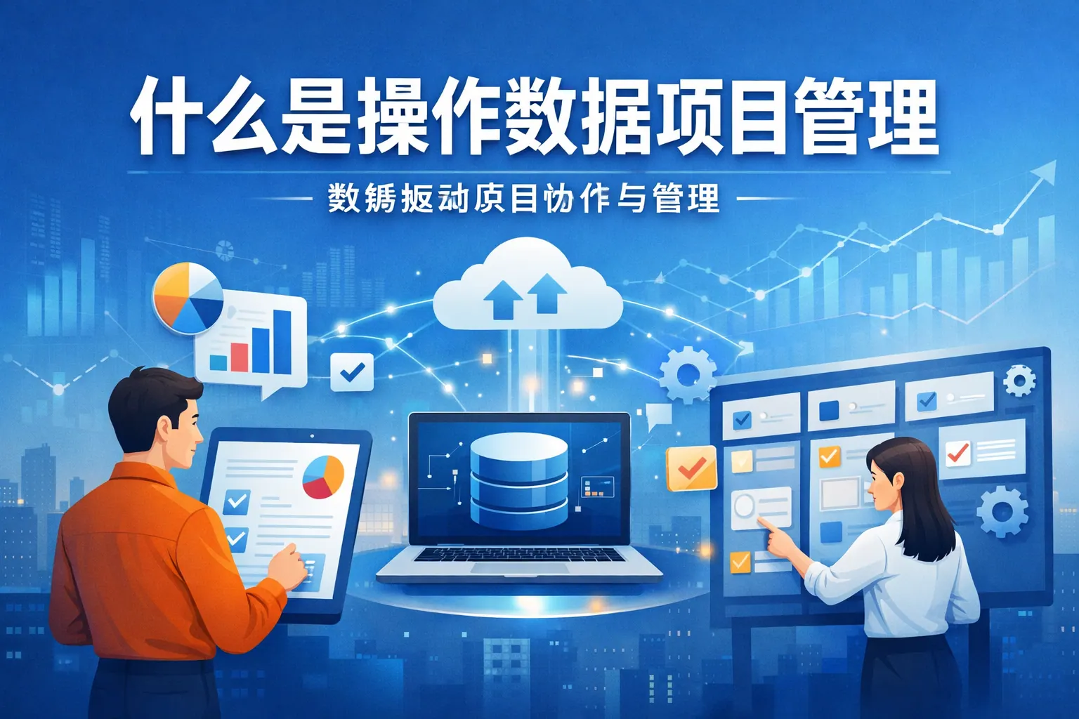 什么是操作数据项目管理