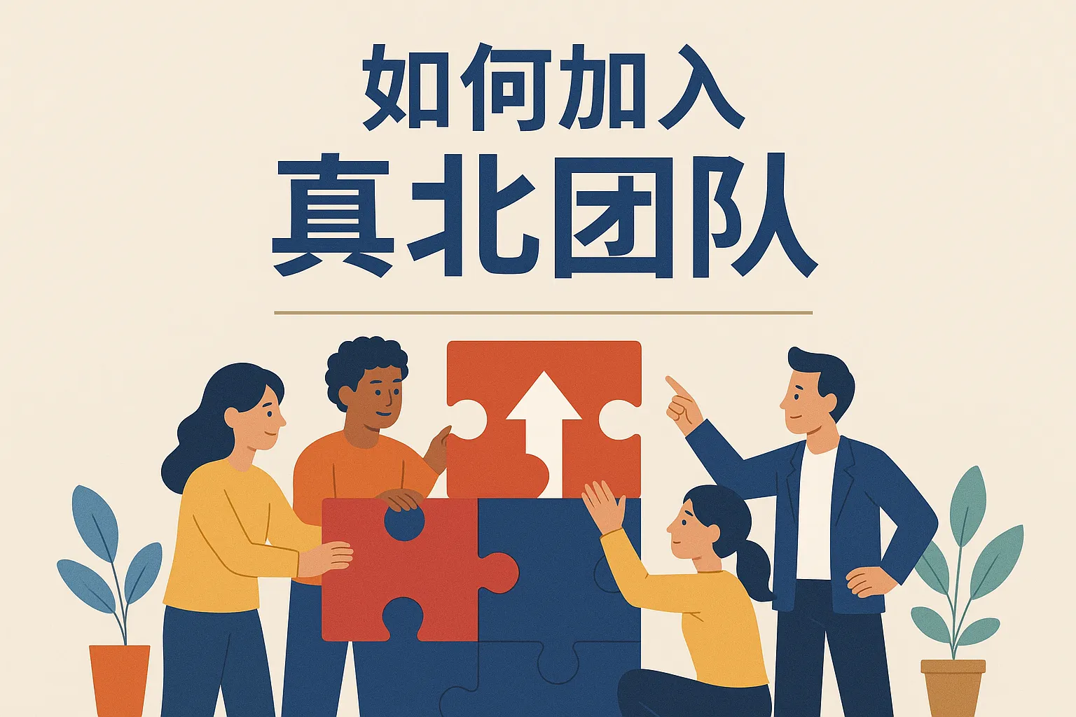 如何加入真北团队
